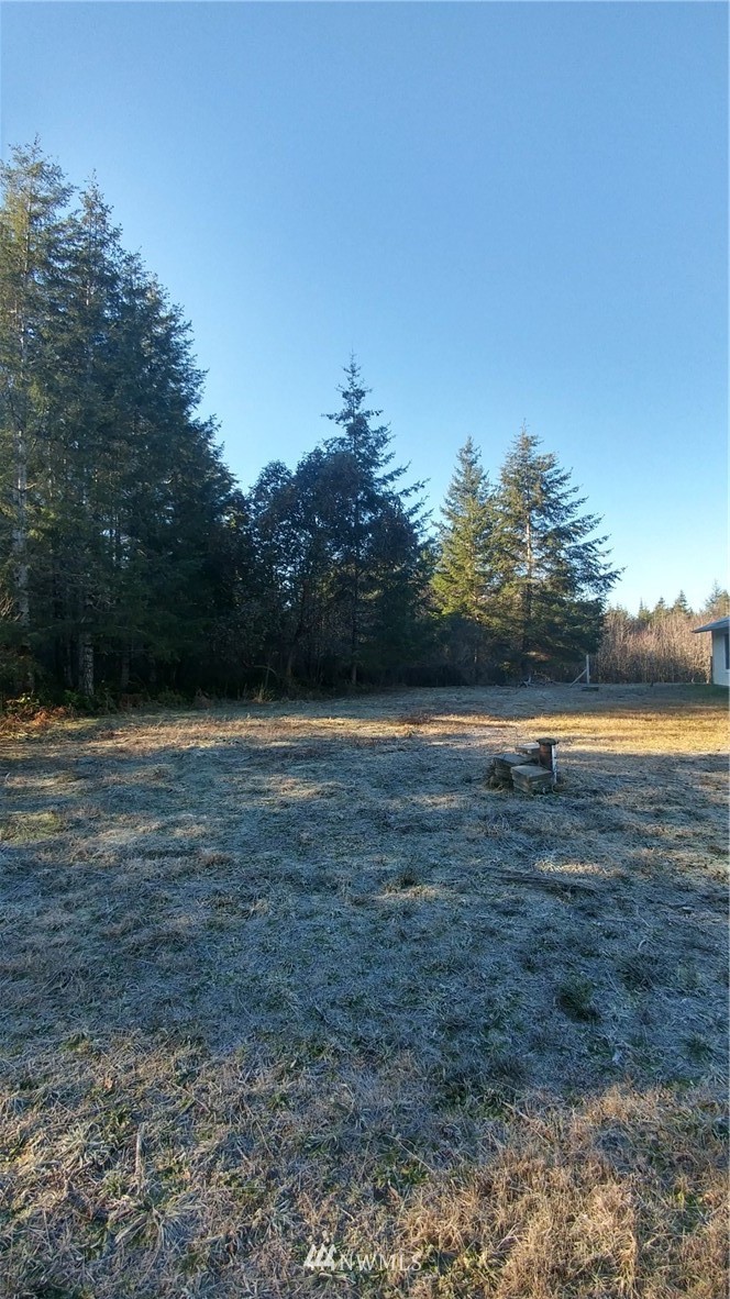 377 East Strong Road Shelton, WA 98584 - Photo 3 of 7 Gallery Image 3