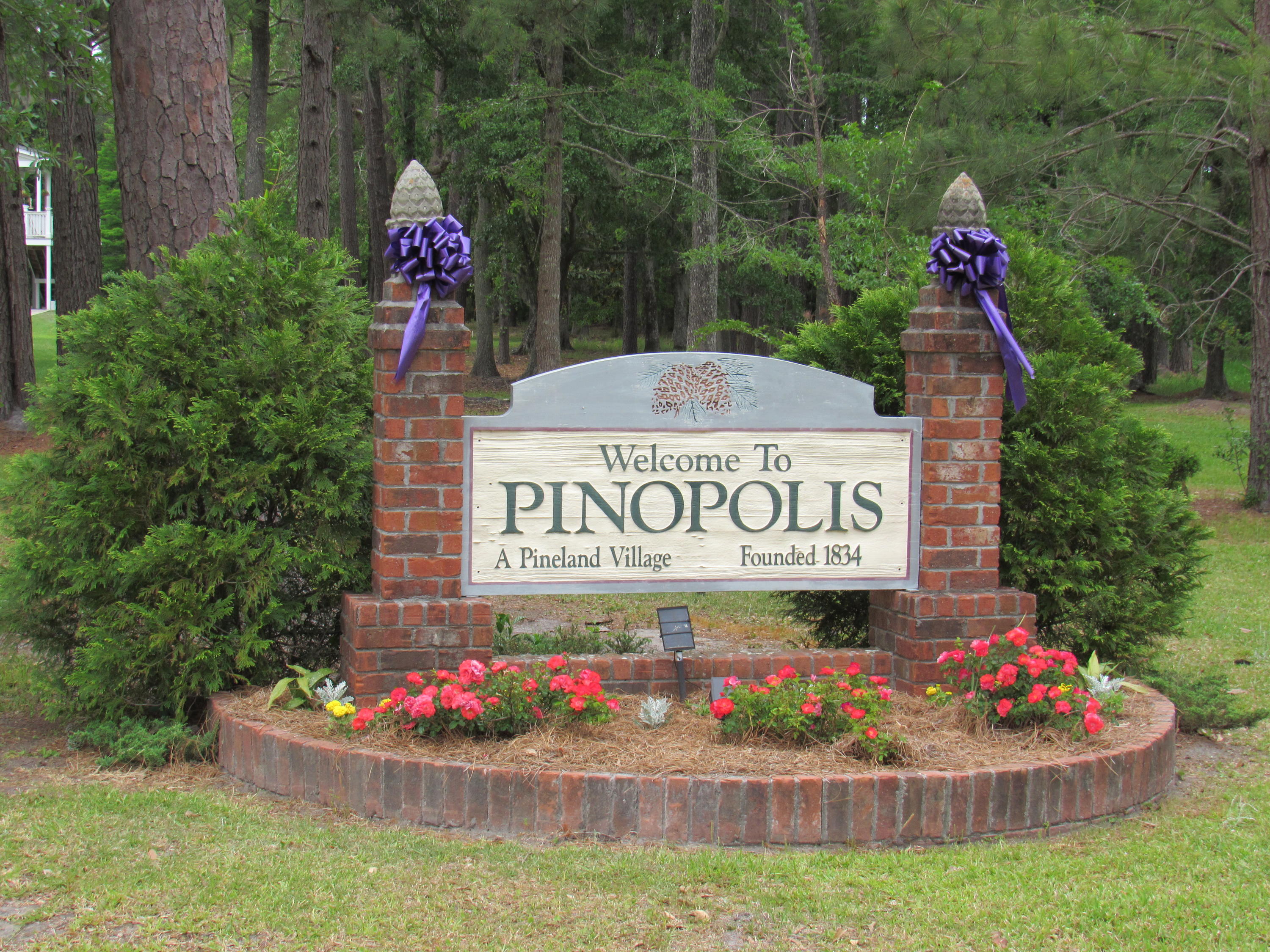 1434 Pinopolis Road Moncks Corner, SC 29461 - Photo 2 of 11 Pinopolis Community
