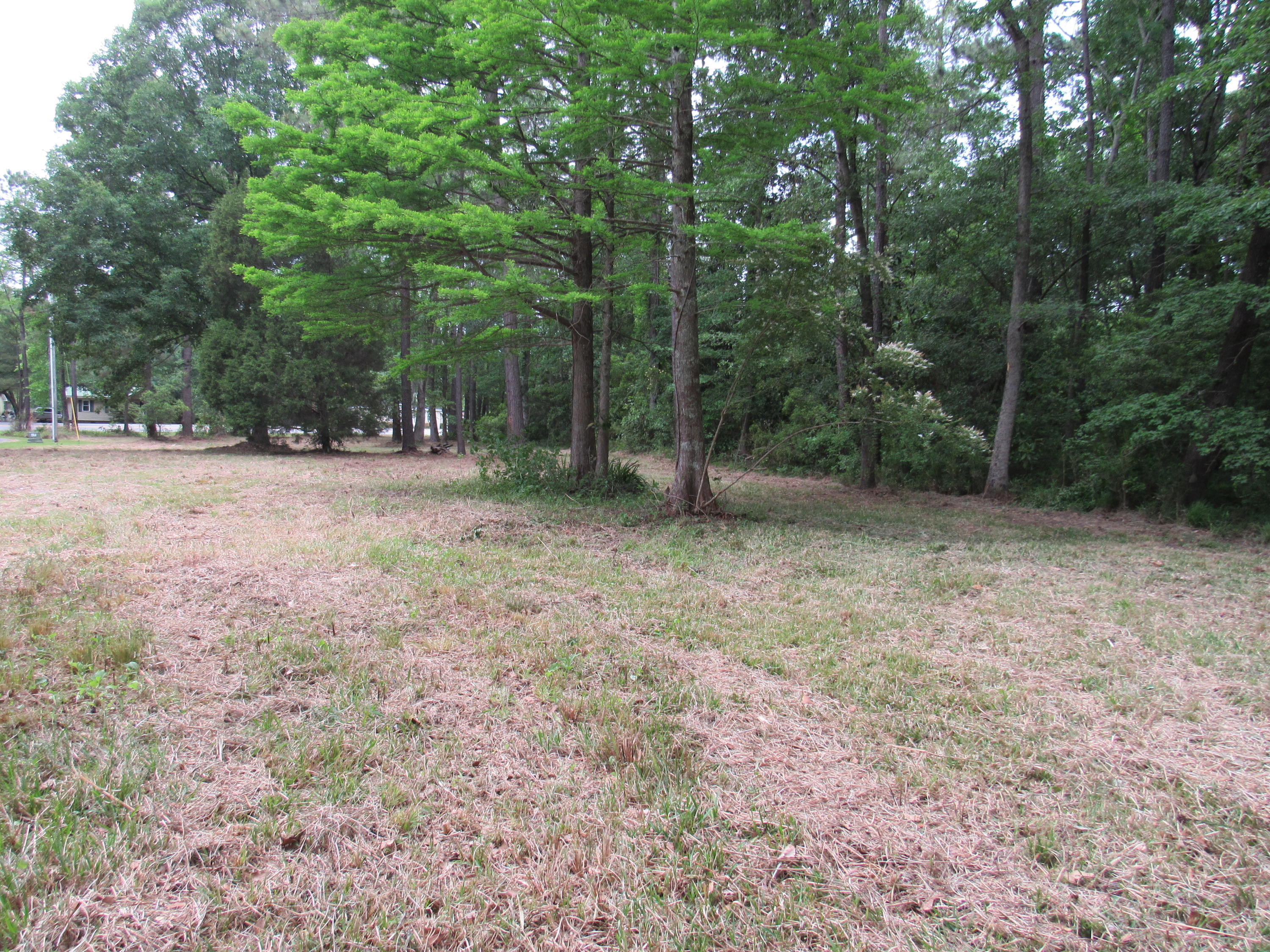 1434 Pinopolis Road Moncks Corner, SC 29461 - Photo 8 of 11 Partially Cleared