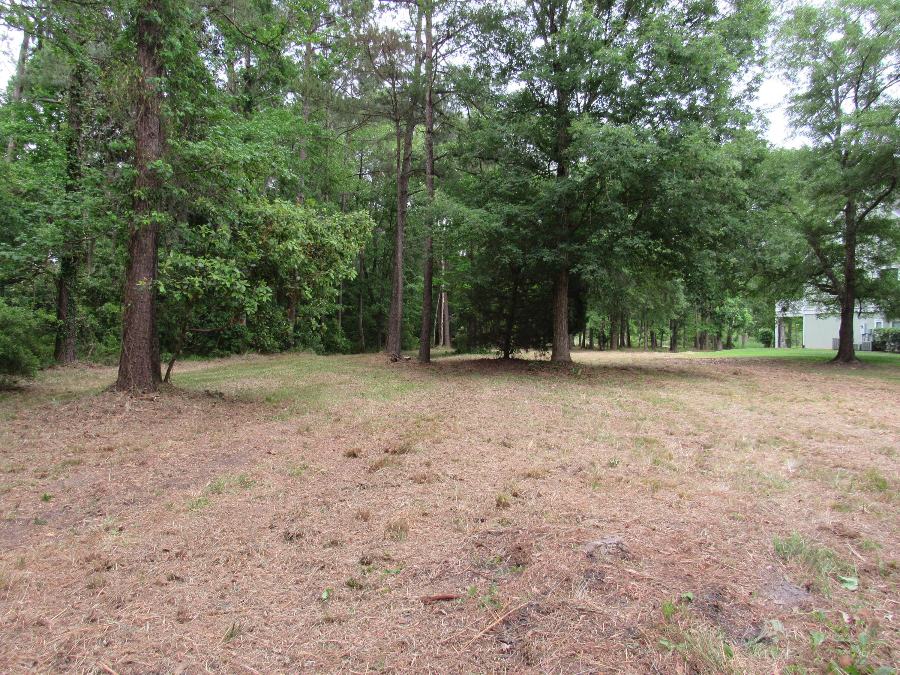 1434 Pinopolis Road Moncks Corner, SC 29461 - Photo 9 of 11 Partially Cleared
