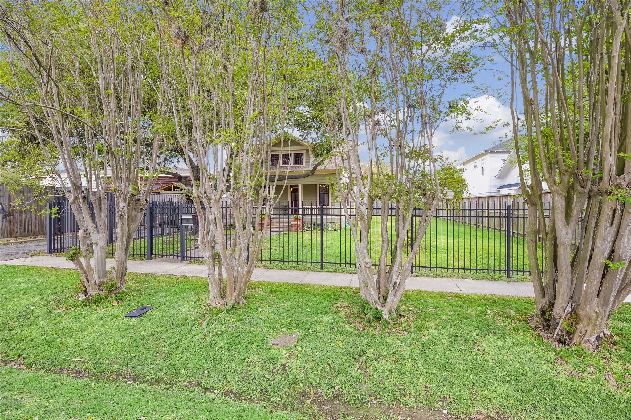 1846 Arlington Street Houston, TX 77008 - Photo 35 of 41 a view of a yard with plants and a large tree