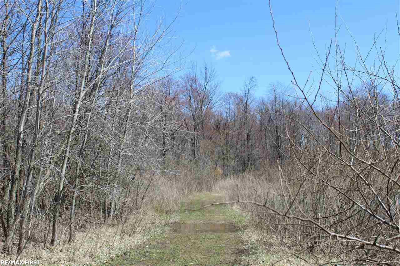 0 Connell Road Yale, MI 48097 - Photo 11 of 22