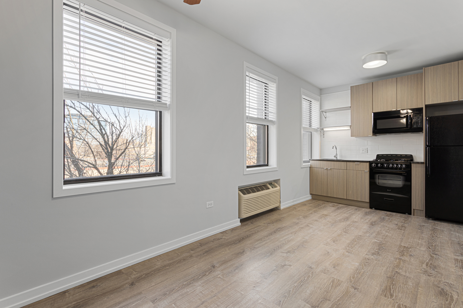 4875 North Magnolia Avenue, Unit 405 Chicago, IL 60640 - Photo 2 of 11