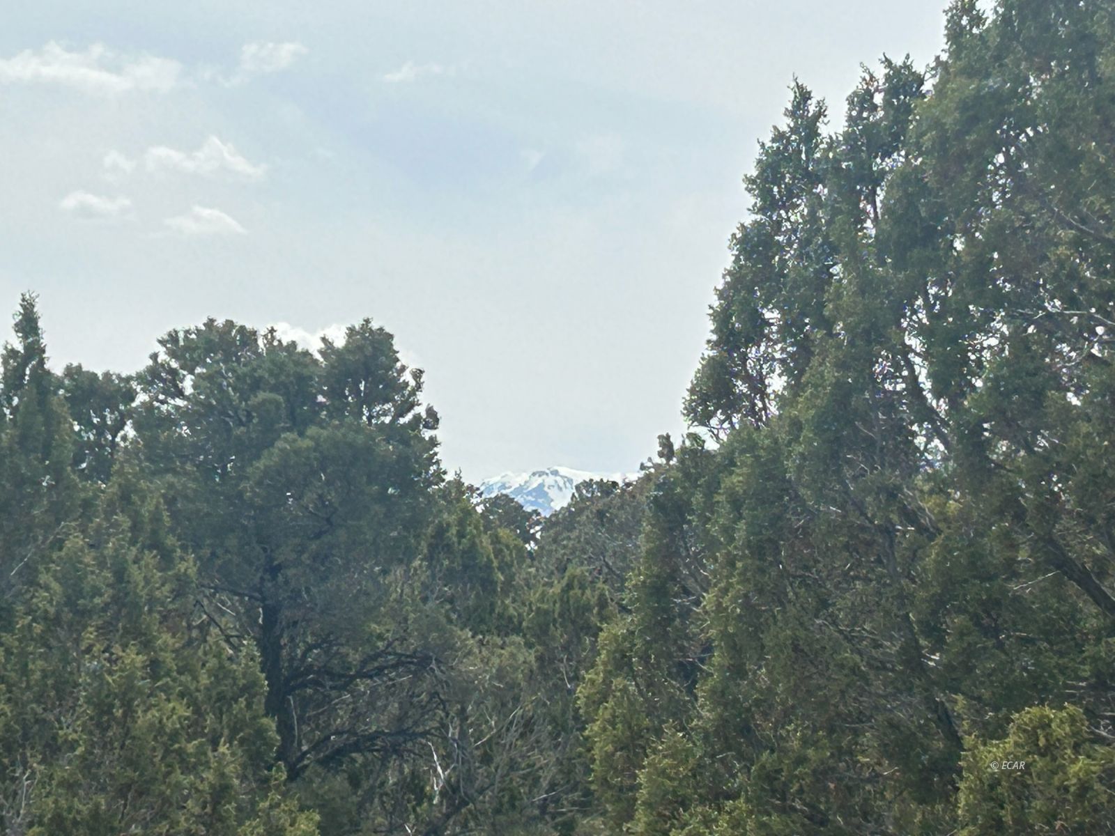 Wadel Springs Rd Wells Wells, NV 89835 - Photo 4 of 7