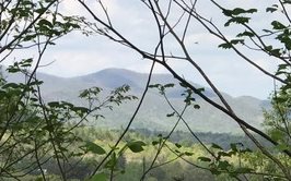 45 Chestnut Mountain Road Blairsville, GA 30512 - Photo 1 of 1 Main View