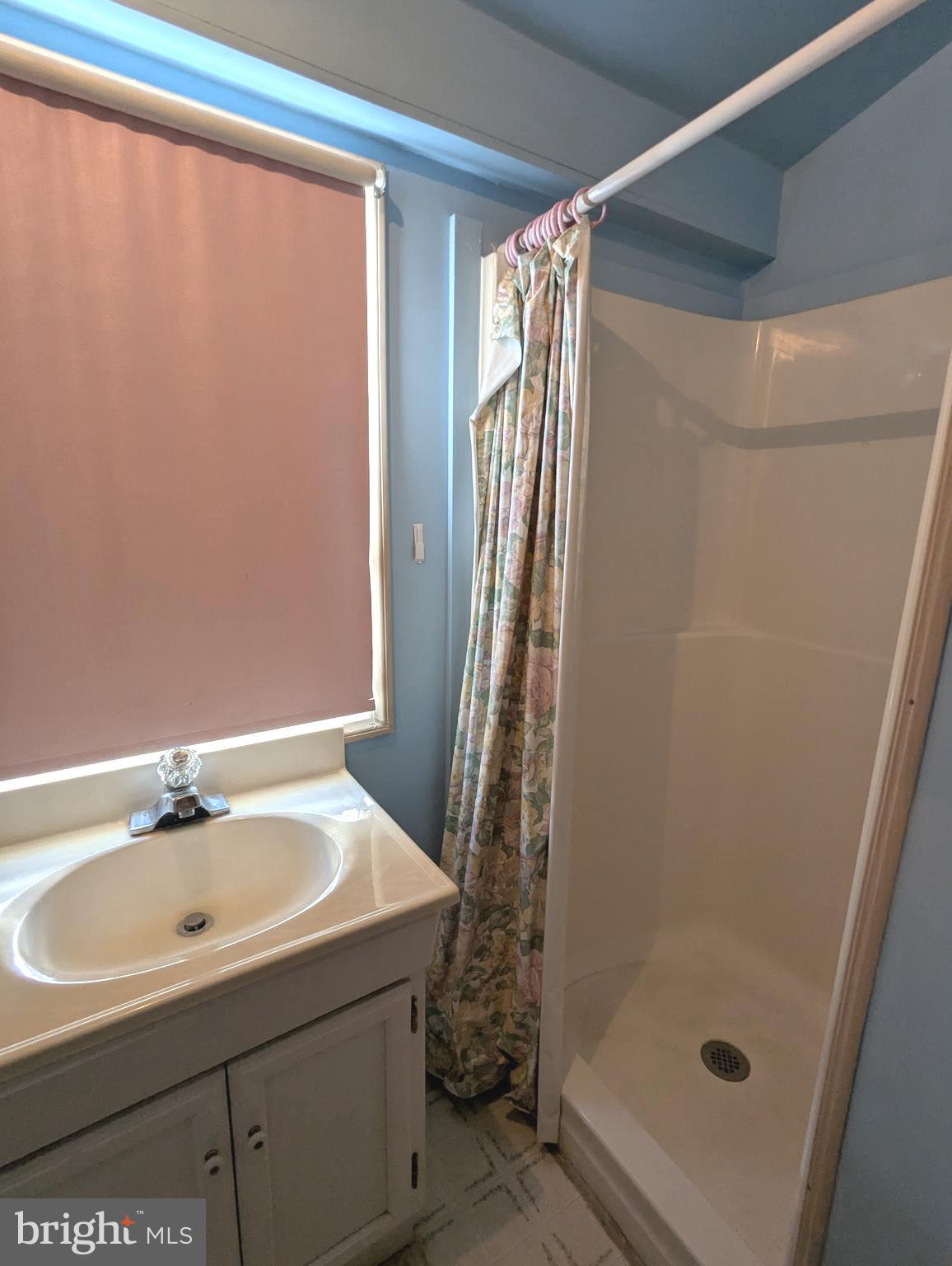 41 Ranger Road Falling Waters, WV 25419 - Photo 4 of 9 a bathroom with a sink and a shower
