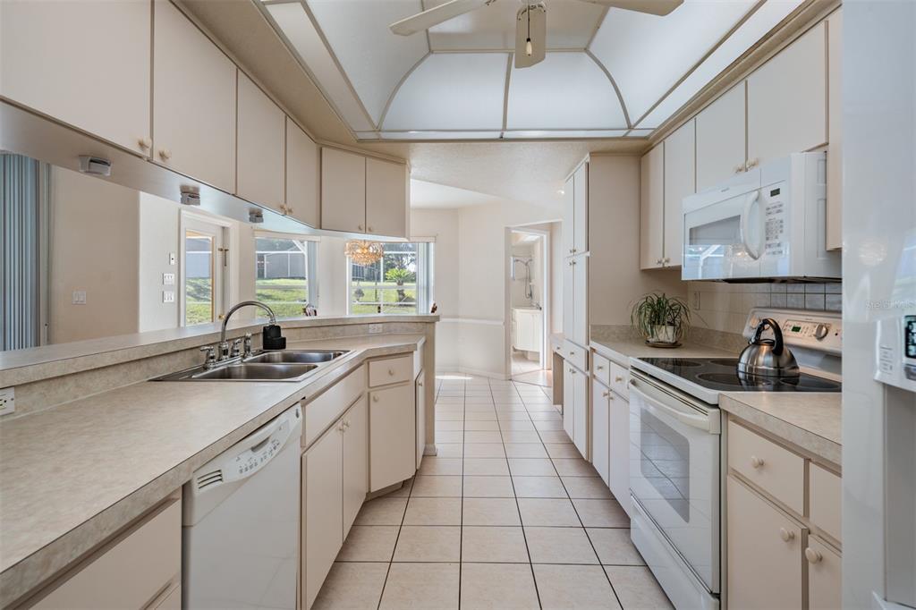 16402 Fringe Tree Drive Spring Hill, FL 34610 - Photo 30 of 51