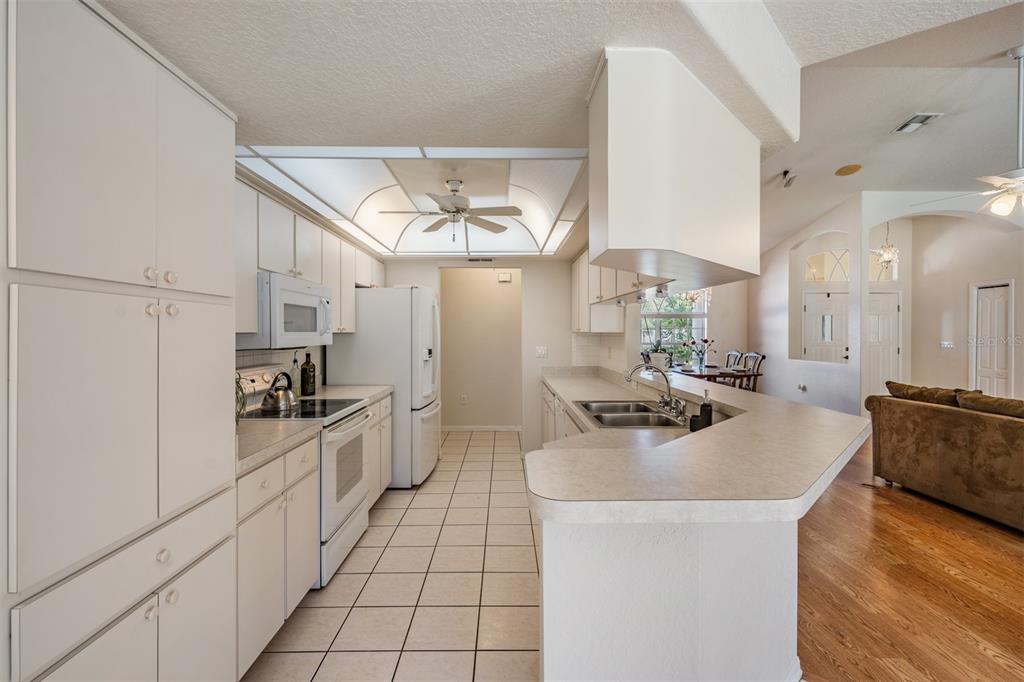 16402 Fringe Tree Drive Spring Hill, FL 34610 - Photo 31 of 51