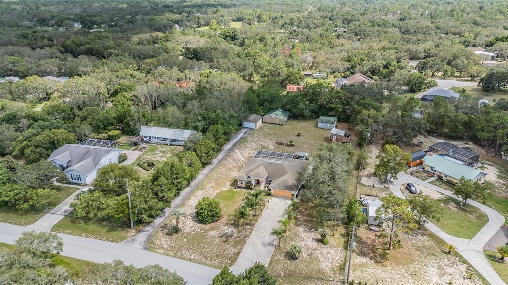 16402 Fringe Tree Drive Spring Hill, FL 34610 - Photo 47 of 51