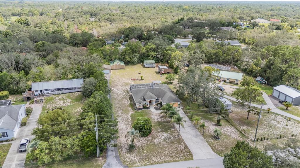 16402 Fringe Tree Drive Spring Hill, FL 34610 - Photo 48 of 51