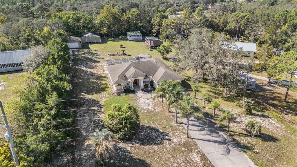 16402 Fringe Tree Drive Spring Hill, FL 34610 - Photo 50 of 51