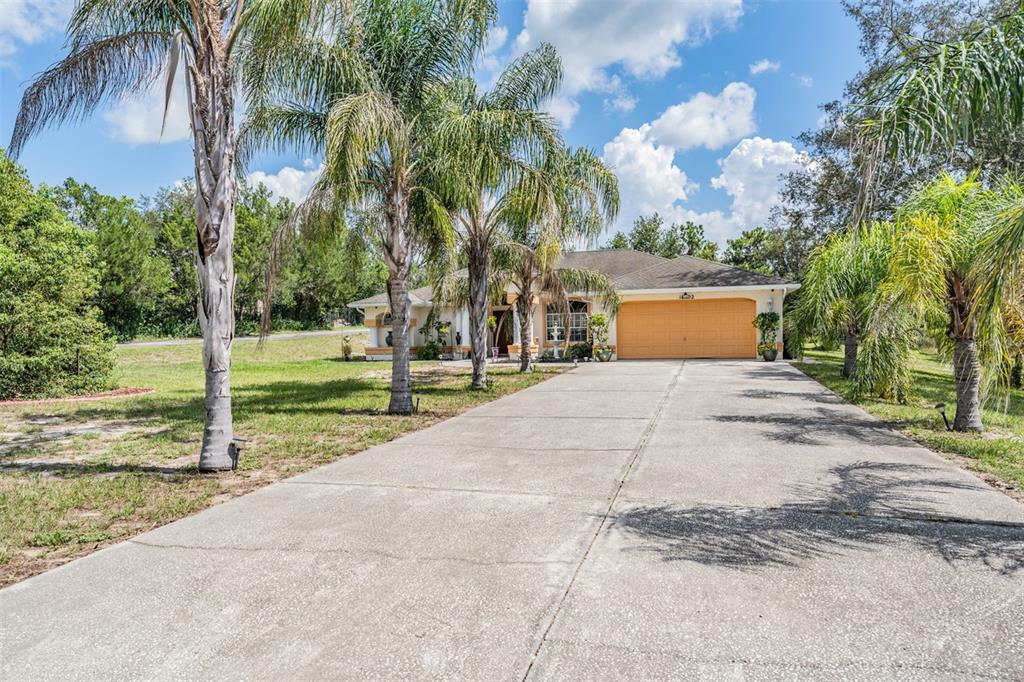 16402 Fringe Tree Drive Spring Hill, FL 34610 - Photo 10 of 51