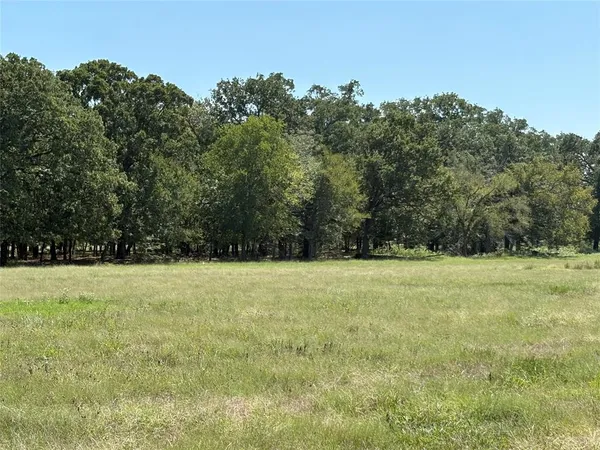 a view of a field with trees in background