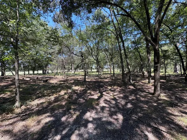 a view of outdoor space with trees