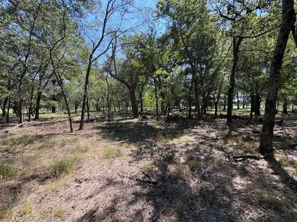a view of outdoor space with trees