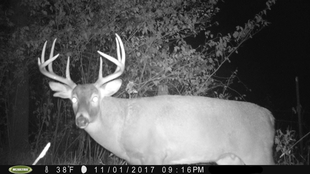 County Line Road Columbus Junction, IA 52738 - Photo 6 of 7 Gallery Image 6