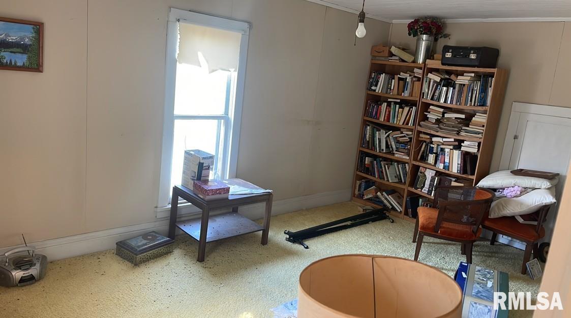 120 Main Street Alto Pass, IL 62905 - Photo 4 of 7