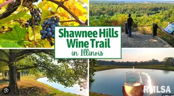 $21,000 | 120 Main Street, Alto Pass, IL 62905