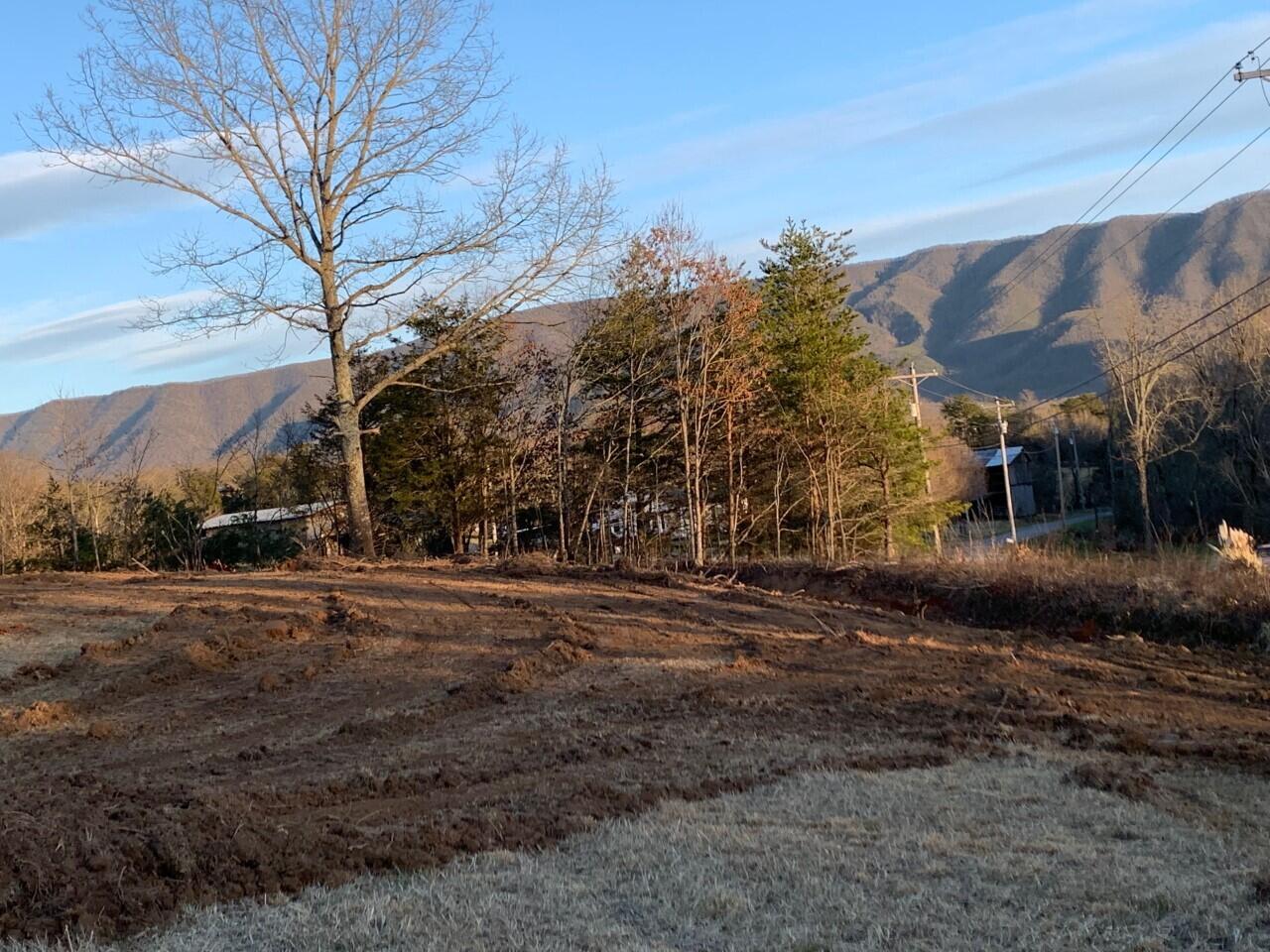 0 Sunnydale Road, Unit 10 Greeneville, TN 37743 - Photo 4 of 5 thumbnail_IMG_1999 (1)