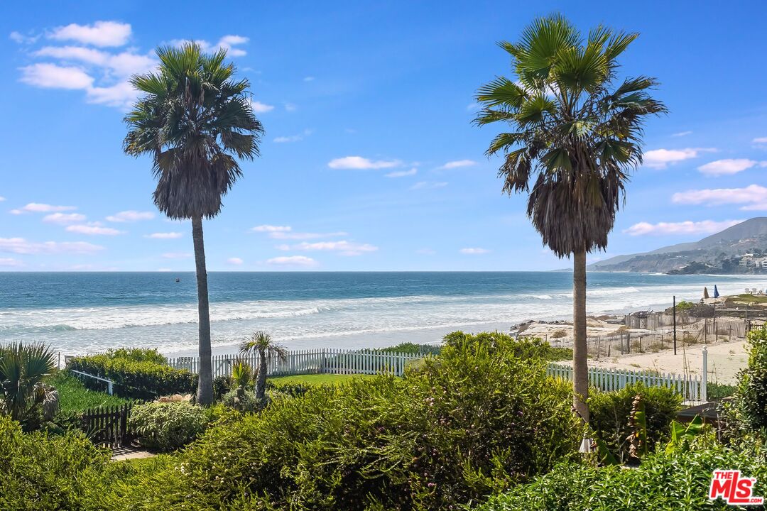30800 Broad Beach Road Malibu, CA 90265 - Photo 24 of 28 a picture of a tree in a yard with a fountain