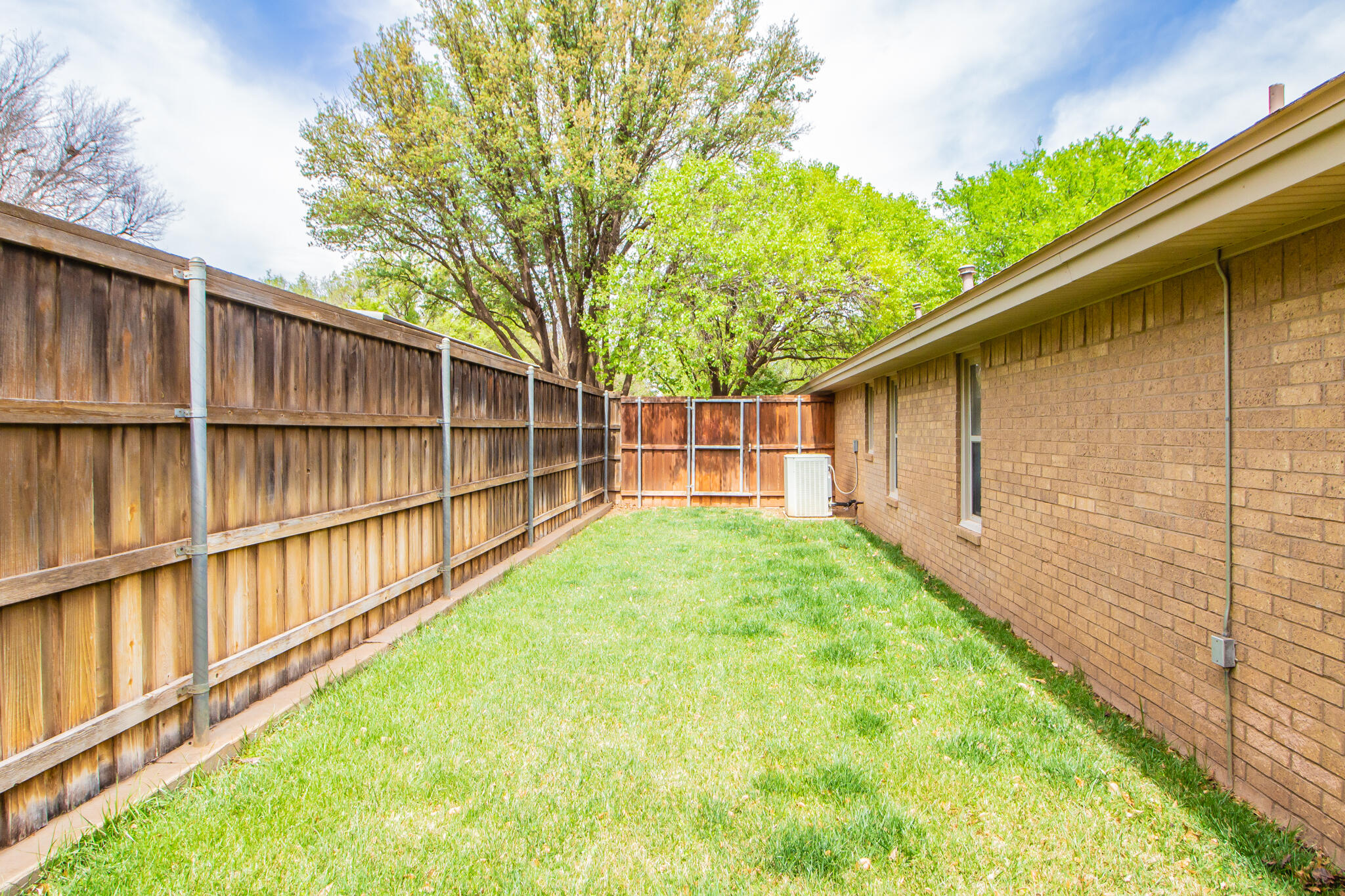 4213 88th Place Lubbock, TX 79423 - Photo 39 of 40 a view of a backyard with a large tree