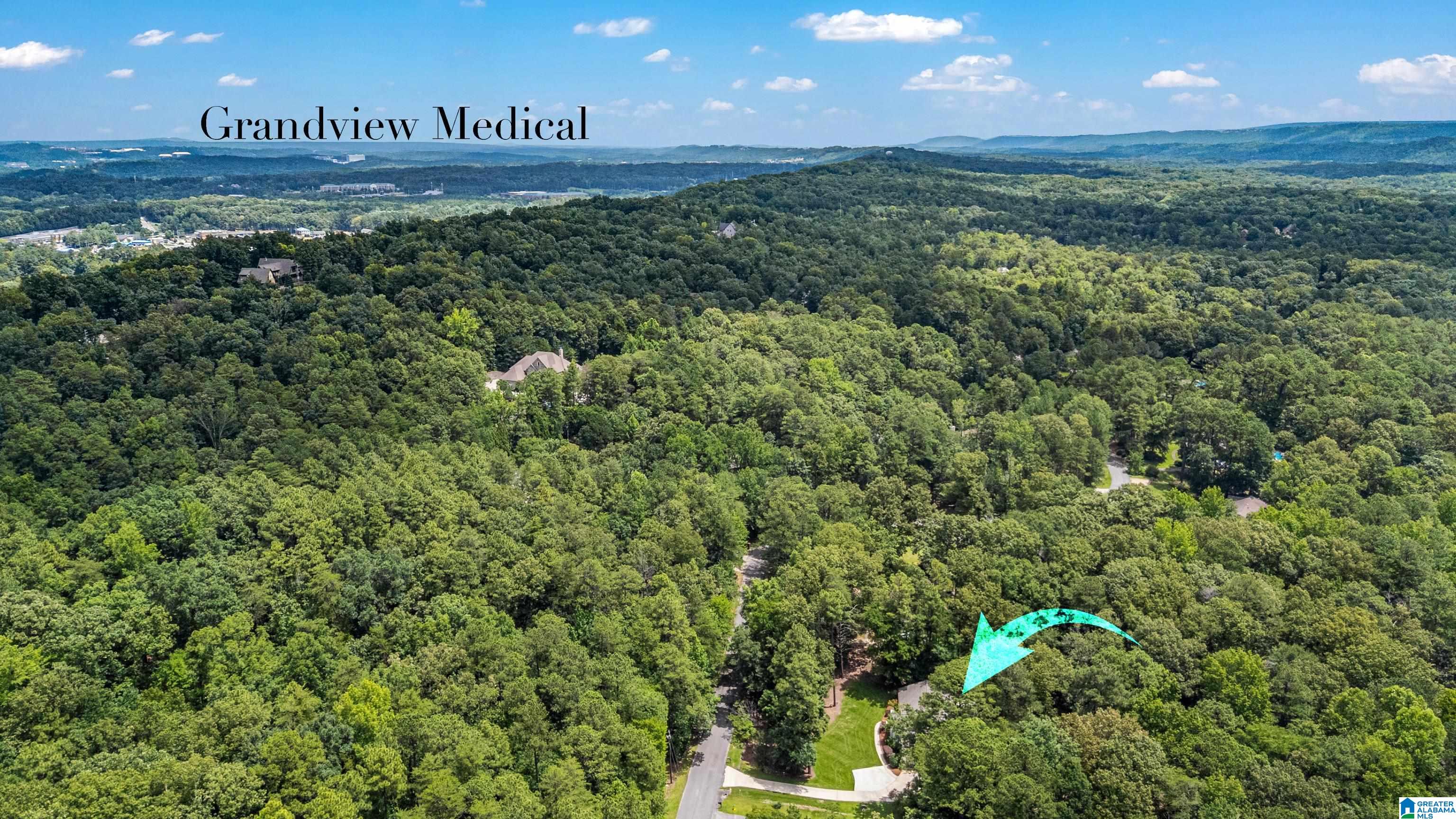499 New Hope Mountain Road Pelham, AL 35124 - Photo 60 of 62