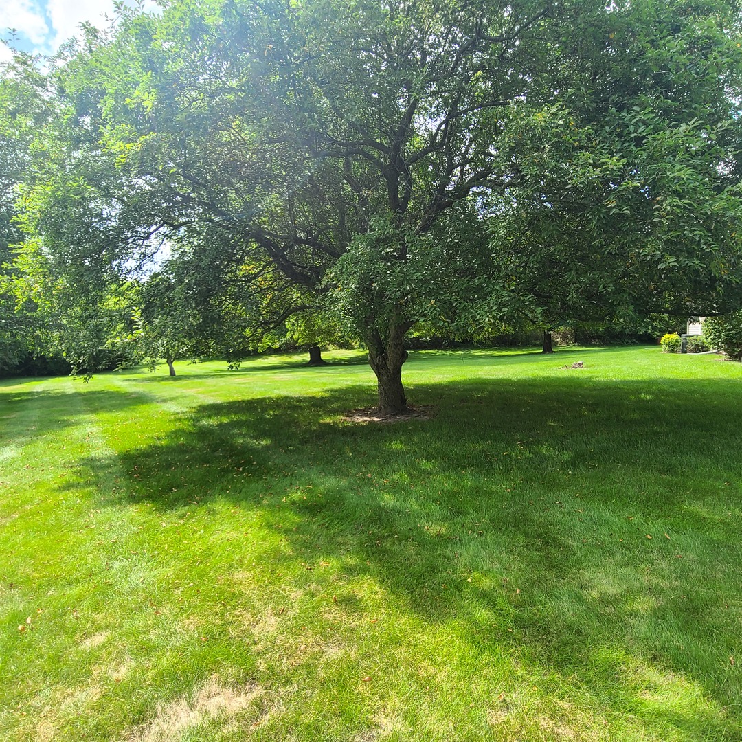 39-w139 Adobe Ridge Elgin, IL 60124 - Photo 24 of 26 a view of a grassy field with trees