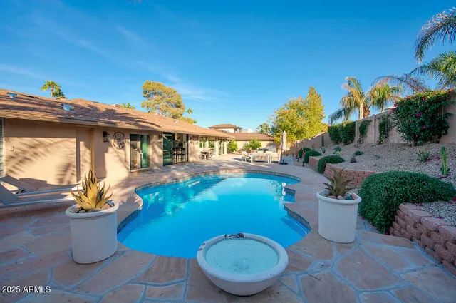 a view of a swimming pool with potted plants