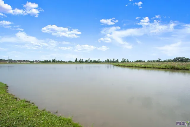 $2,650 | 5207 White River Road, Darrow, LA 70725