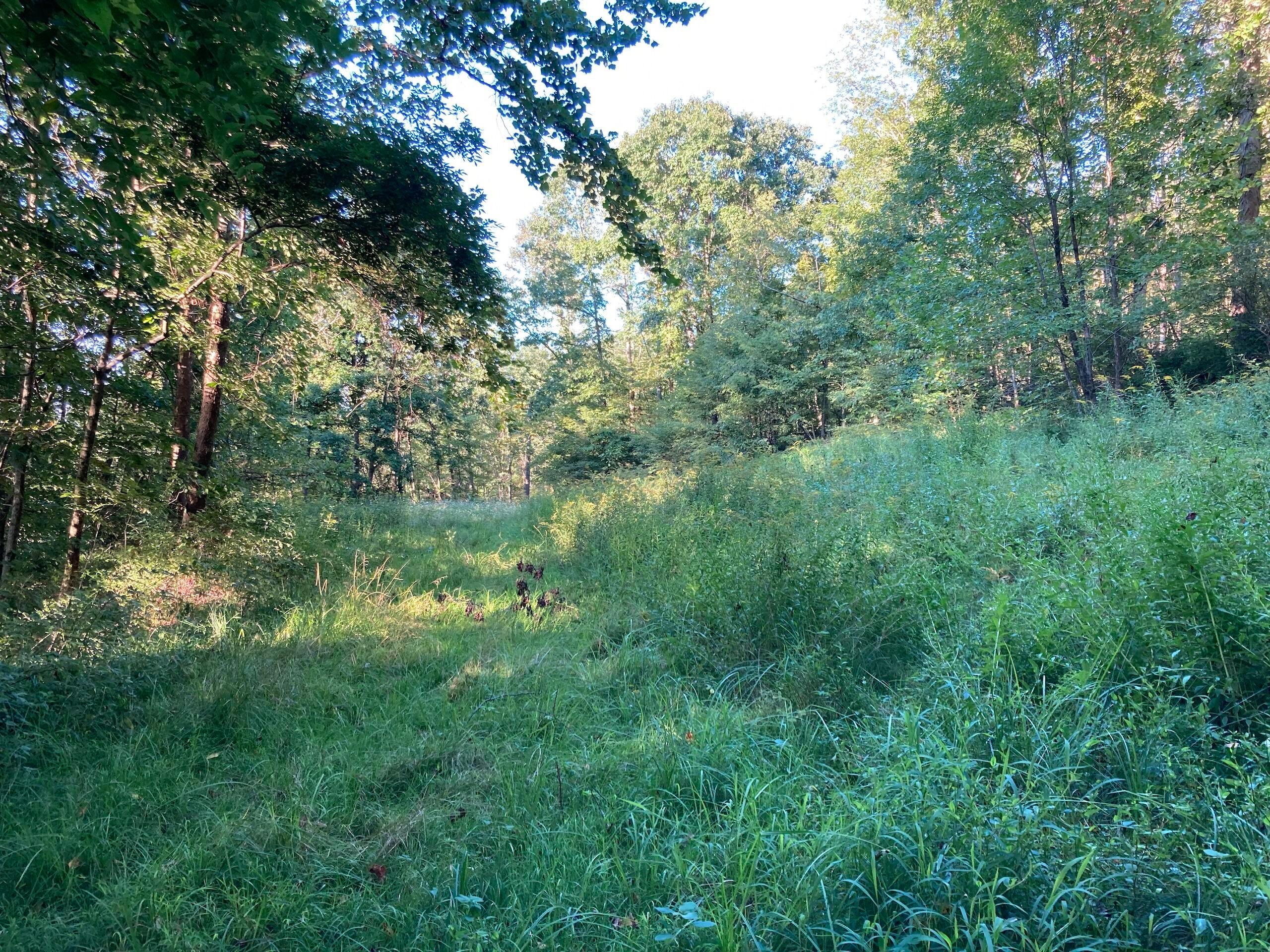 74677 Johnson Run Road Kimbolton, OH 43749 - Photo 13 of 36 IMG_6479