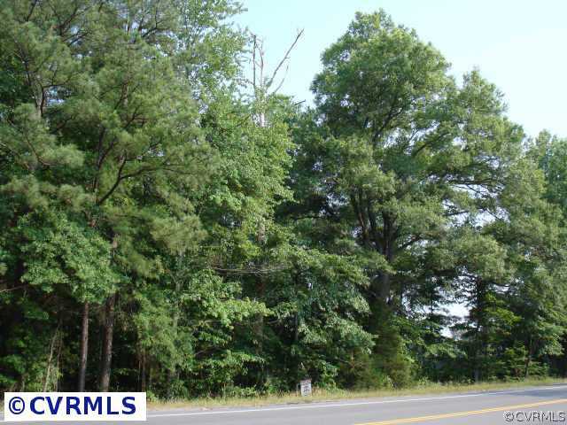 a view of a tree in a field