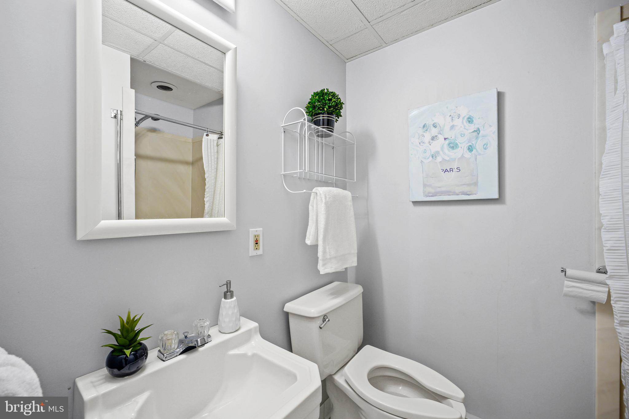 212 Beaumont Road Silver Spring, MD 20904 - Photo 50 of 69 Third Full Bath in Lower Level