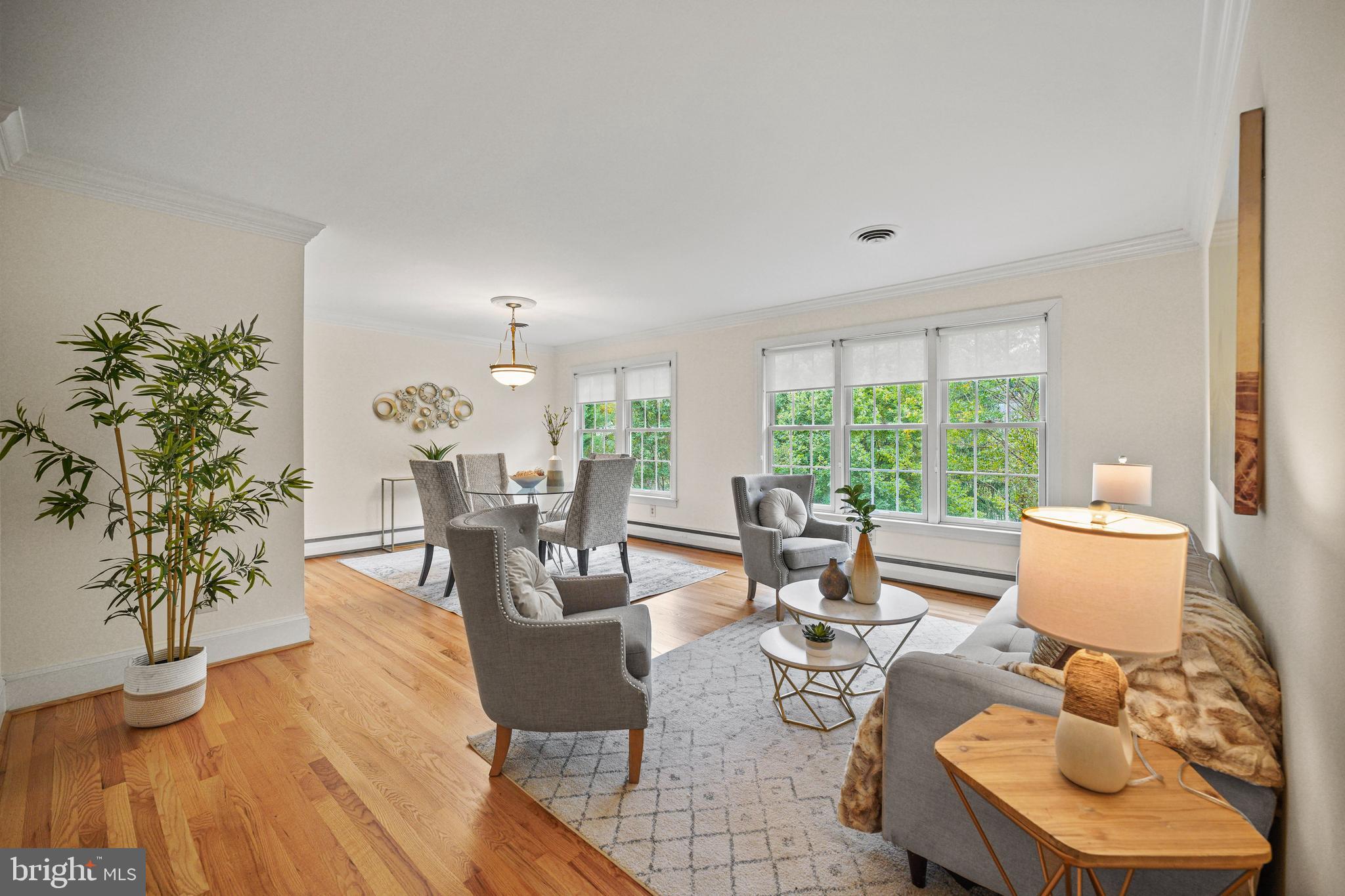 212 Beaumont Road Silver Spring, MD 20904 - Photo 5 of 69 Light-Filled Living Room