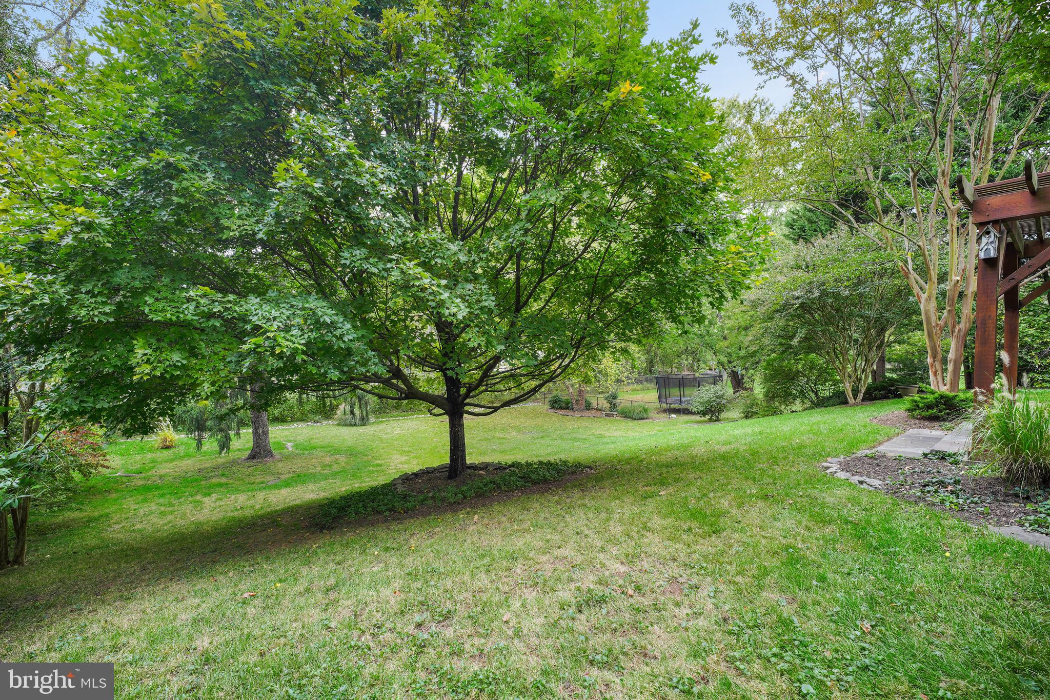 212 Beaumont Road Silver Spring, MD 20904 - Photo 60 of 69 Huge Private Yard