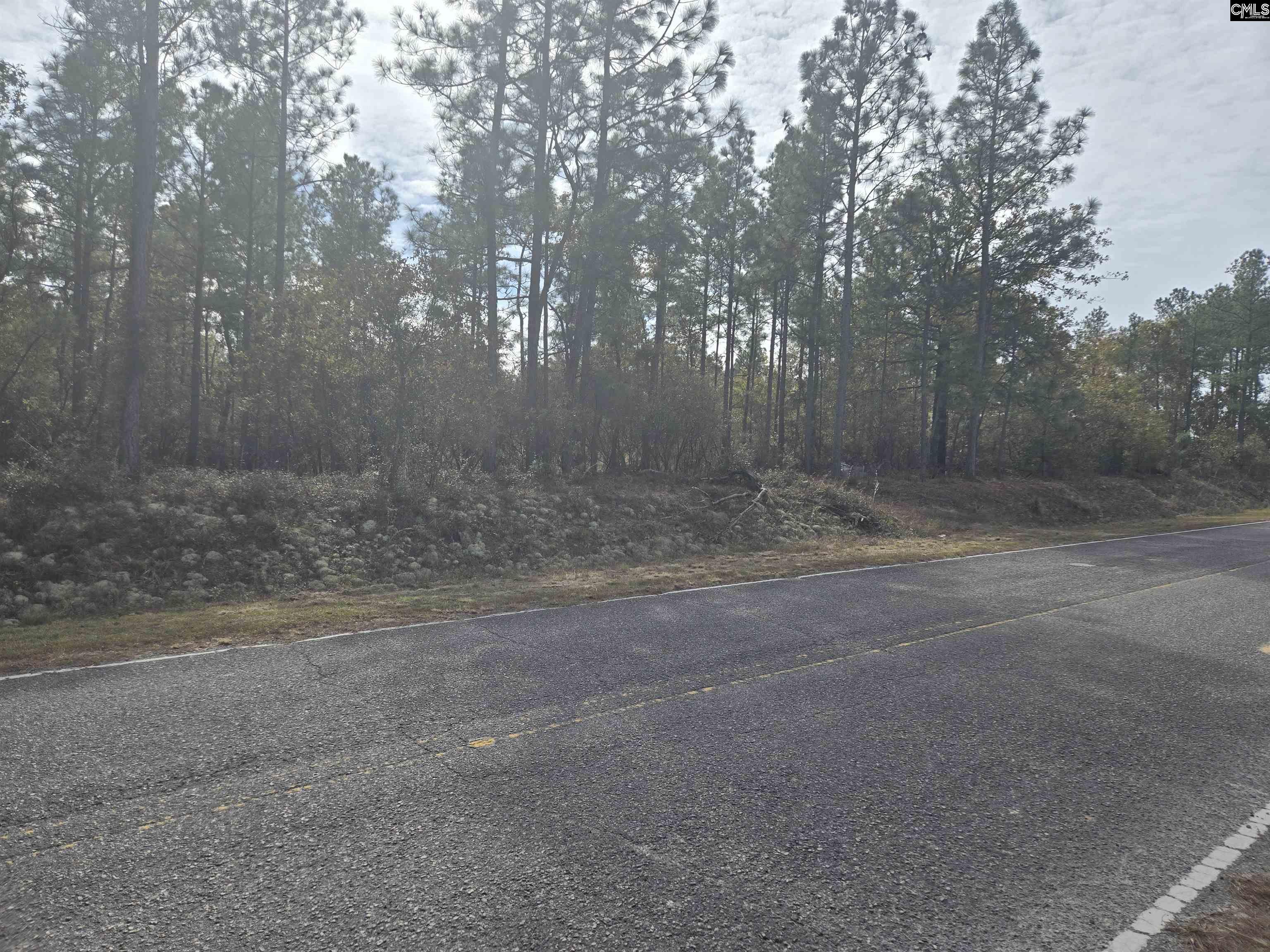 0 Ben Franklin Road Gilbert, SC 29054 - Photo 3 of 5