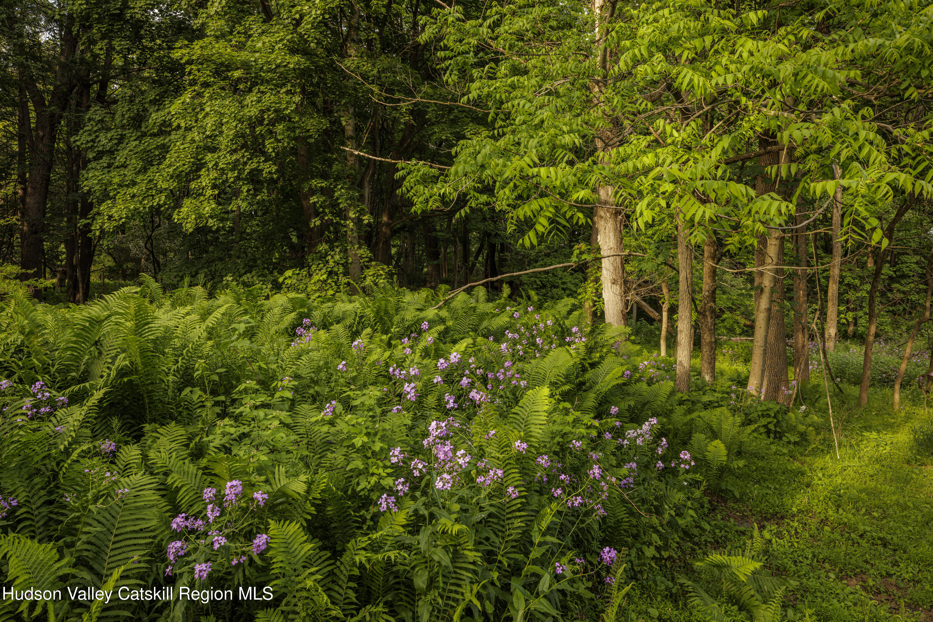 57 Snake Road Catskill, NY 12414 - Photo 26 of 39 57 Snake Rd-26