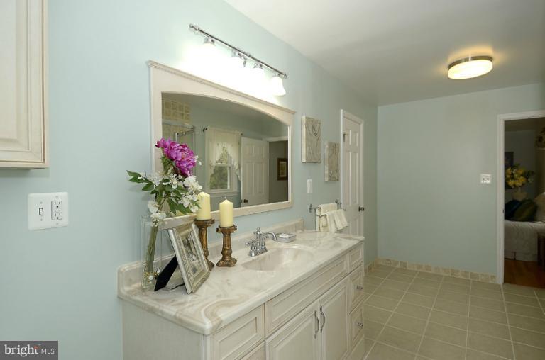 40310 Gap Road Leesburg, VA 20175 - Photo 15 of 30 Bath (Master)