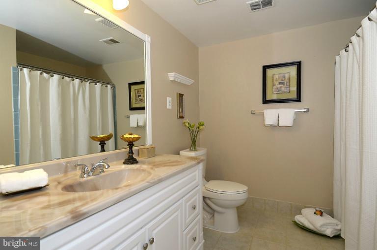 40310 Gap Road Leesburg, VA 20175 - Photo 29 of 30 Bath (Lower Level)