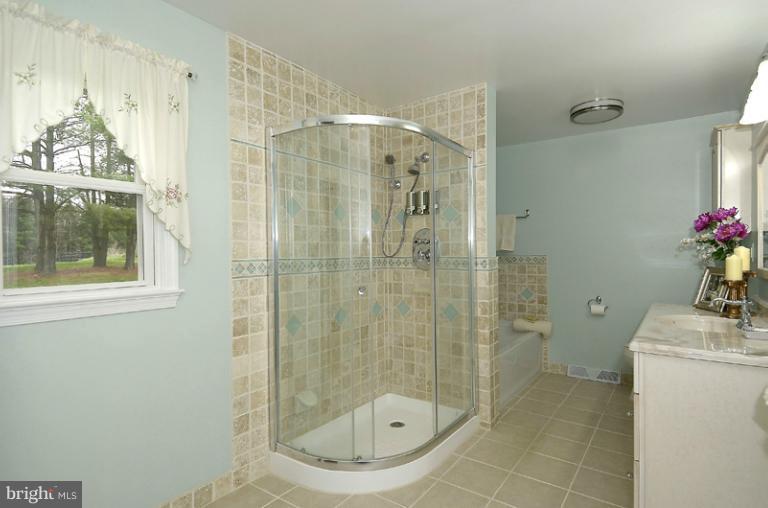 40310 Gap Road Leesburg, VA 20175 - Photo 10 of 30 Bath (Master)