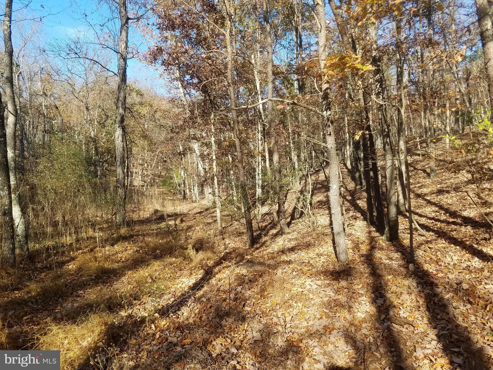 Church Hollow Road Romney, WV 26757 - Photo 5 of 20