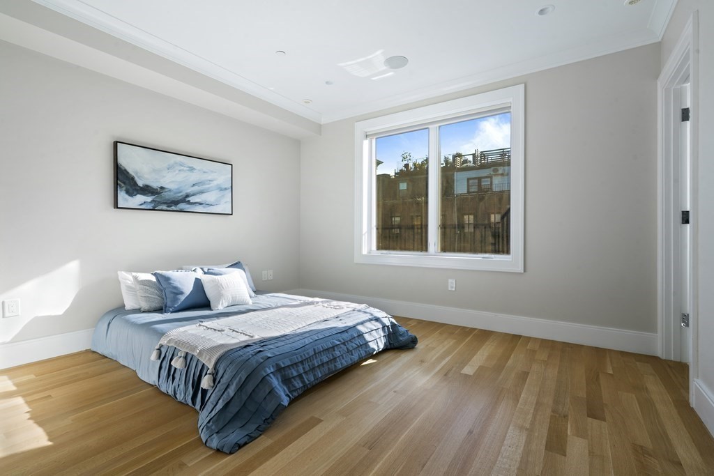 196 West Springfield Street, Unit 2 Boston, MA 02118 - Photo 14 of 34 Gallery Image 14