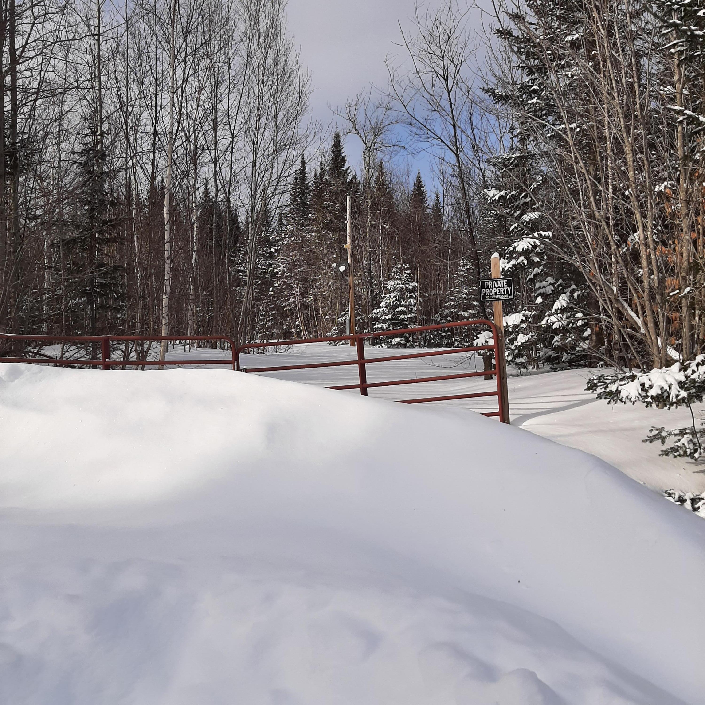 Lot 1 Bartlett Road Houlton, ME 04730 - Photo 1 of 3 procaccini