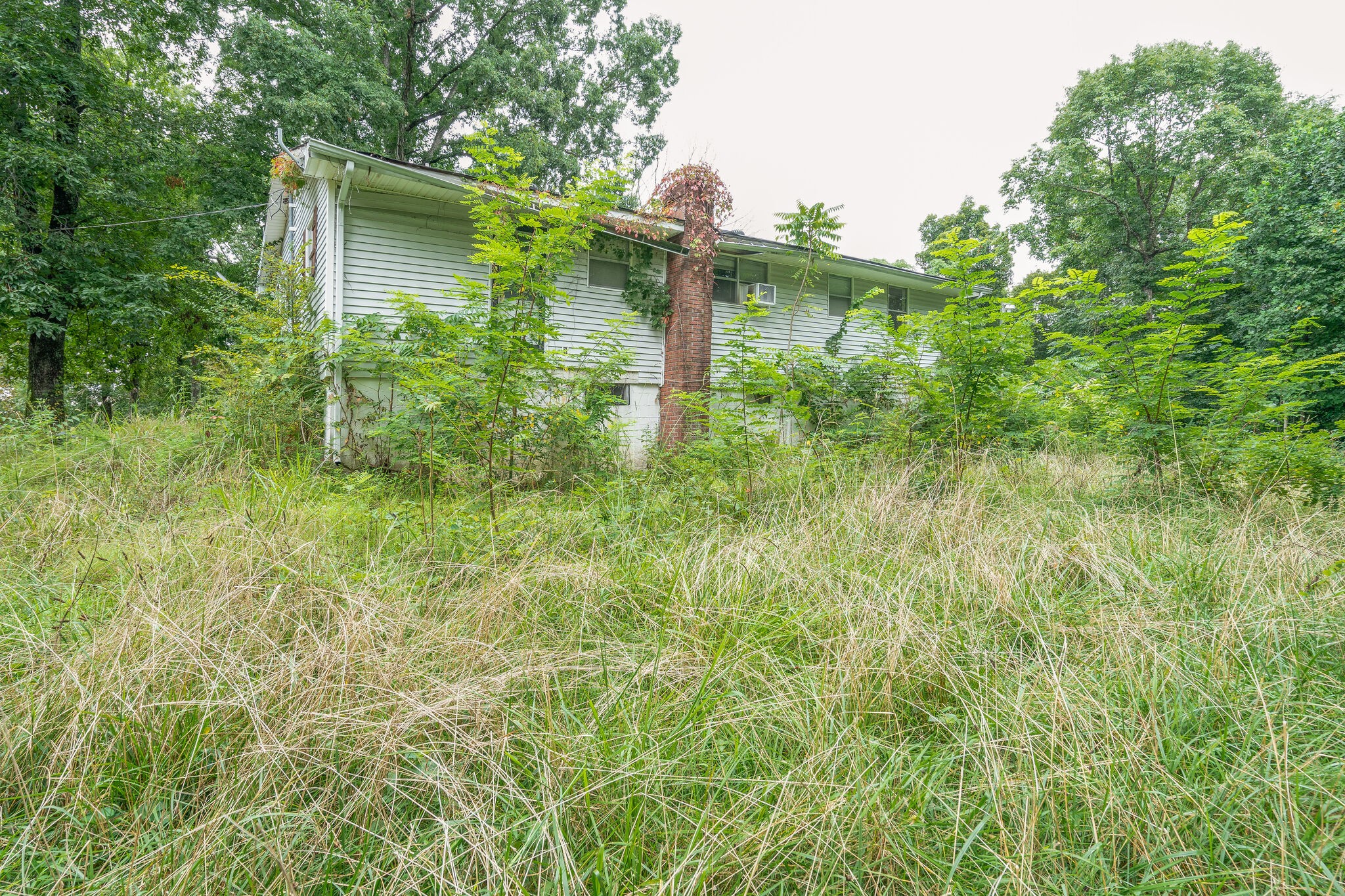 4594 Chestnut Ridge Road Columbia, TN 38401 - Photo 21 of 25 a backyard of a house with lots of green space and plants