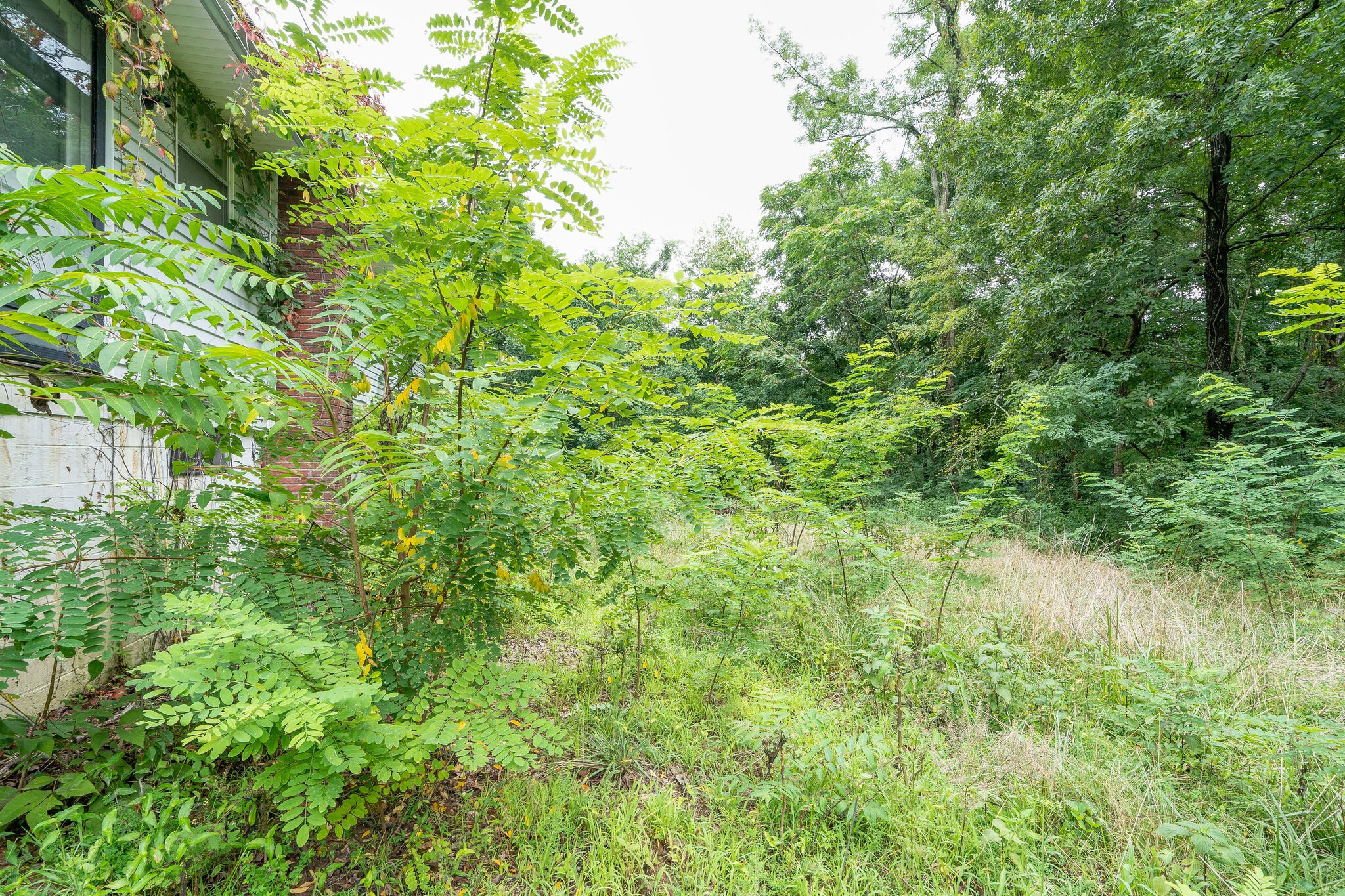 4594 Chestnut Ridge Road Columbia, TN 38401 - Photo 22 of 25 a view of a garden
