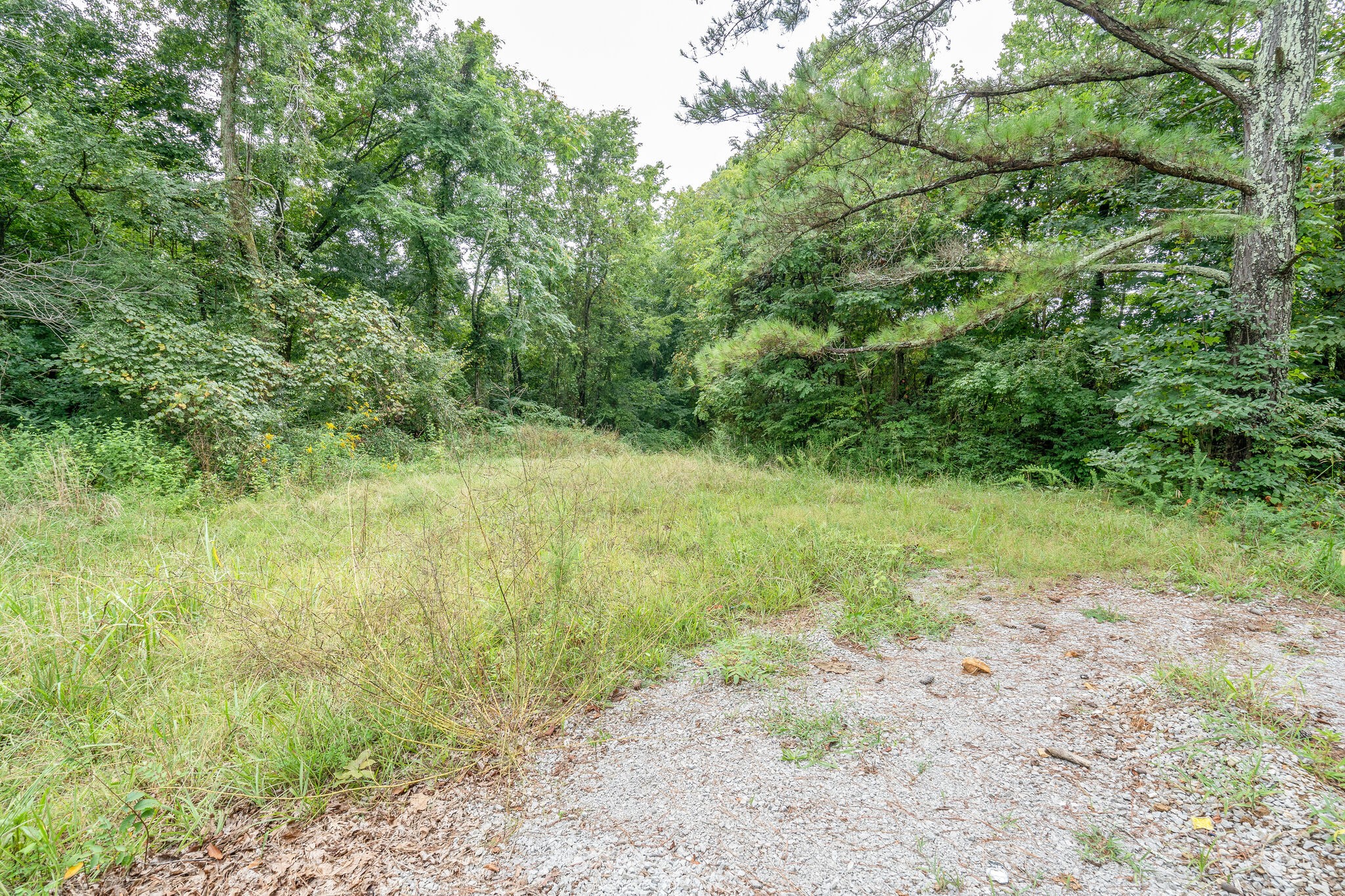 4594 Chestnut Ridge Road Columbia, TN 38401 - Photo 23 of 25 a view of a yard with a tree