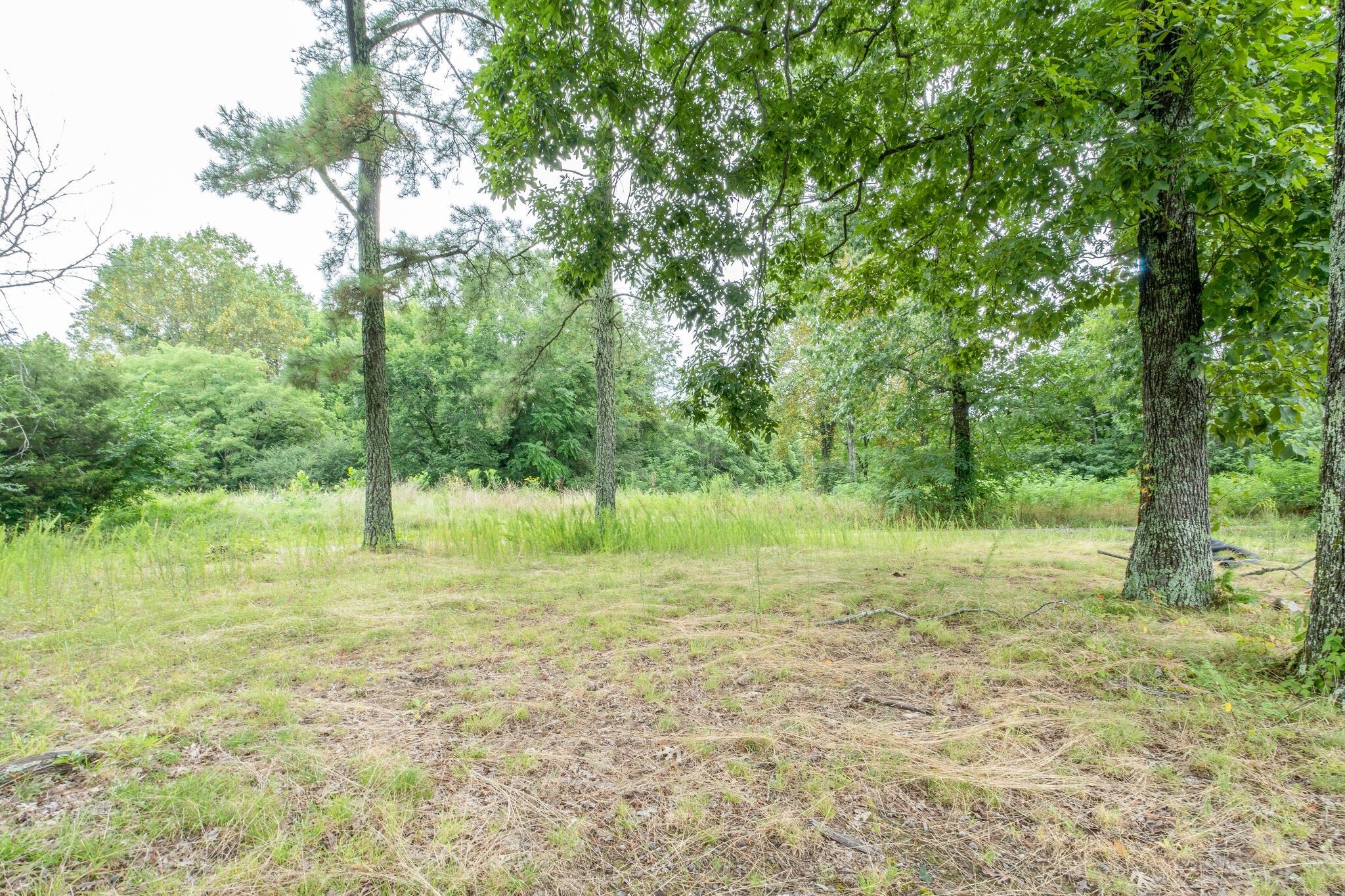 4594 Chestnut Ridge Road Columbia, TN 38401 - Photo 25 of 25 a view of a field with trees in the background
