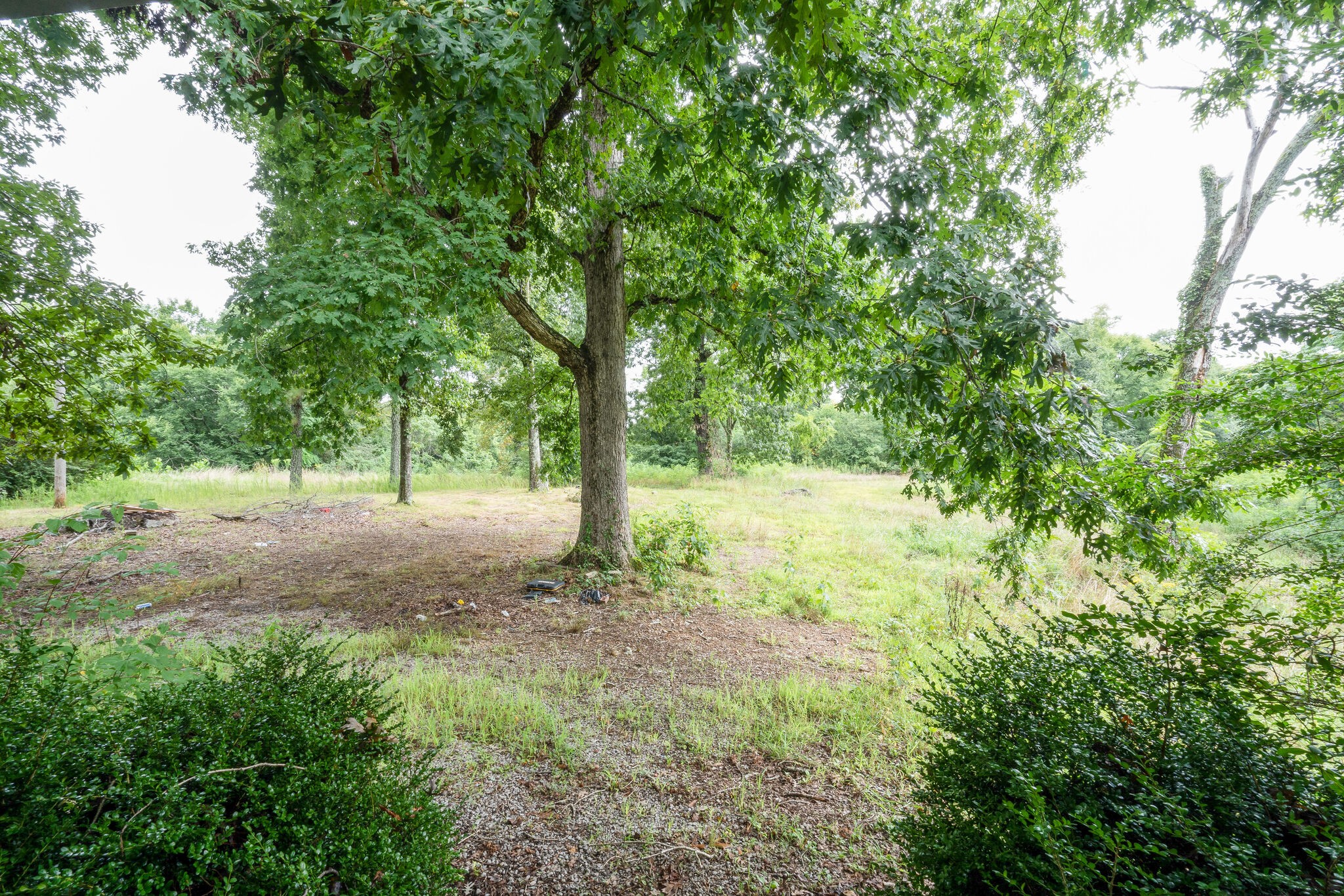 4594 Chestnut Ridge Road Columbia, TN 38401 - Photo 4 of 25 a view of outdoor space and trees
