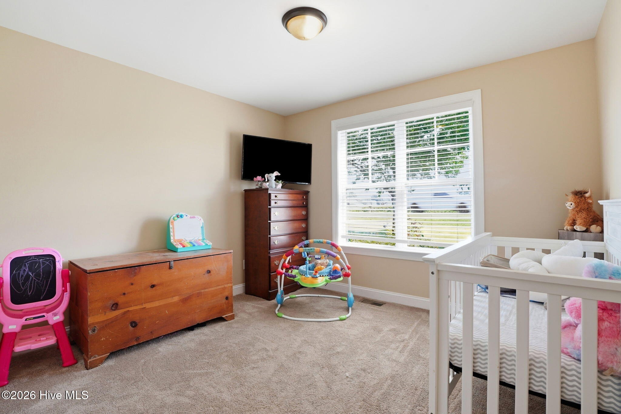 258 Sandy Cross Road Nashville, NC 27856 - Photo 39 of 40