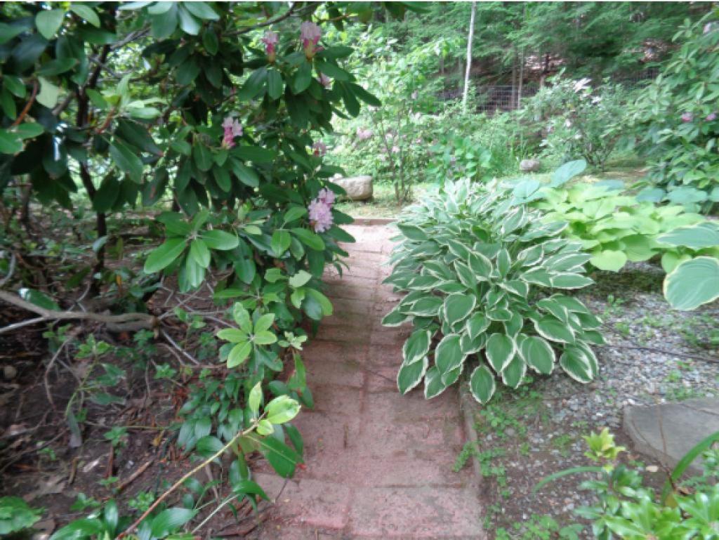 57 West Shore Road Bristol, NH 03222 - Photo 23 of 36 Gallery Image 23