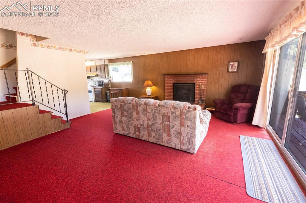 442 Due S Road Florissant, CO 80816 - Photo 24 of 43 a living room with furniture and a fireplace